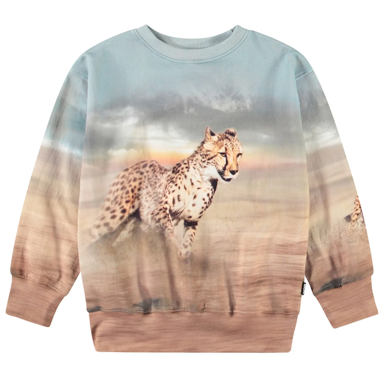 Boys Sweater - Leopard Print