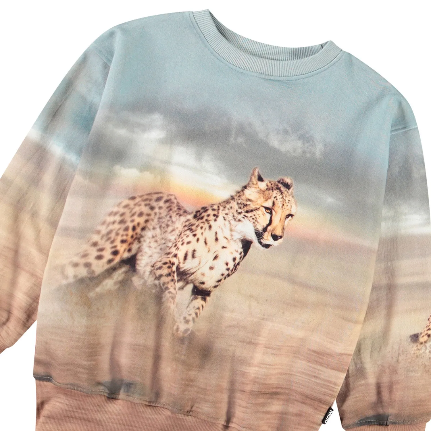 Boys Sweater - Leopard Print
