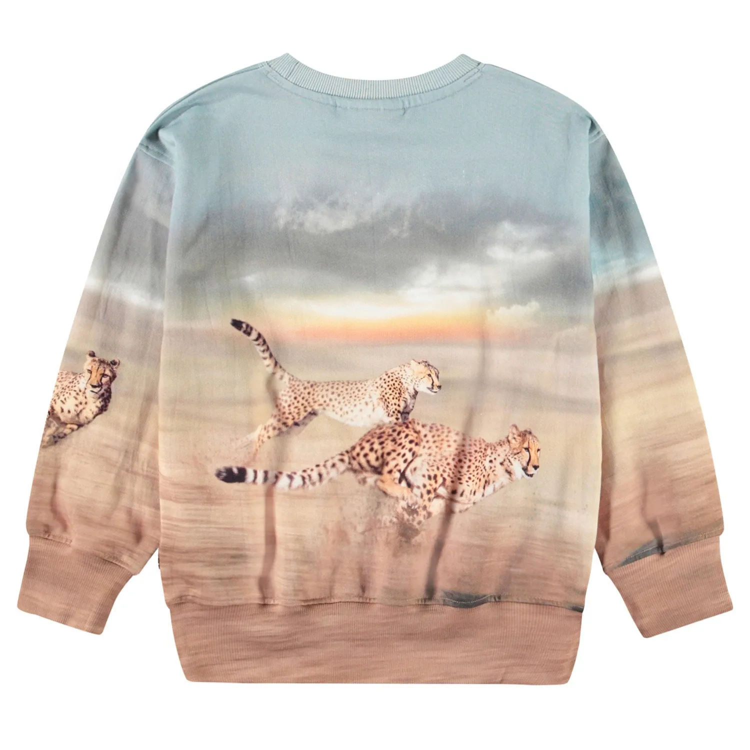 Boys Sweater - Leopard Print