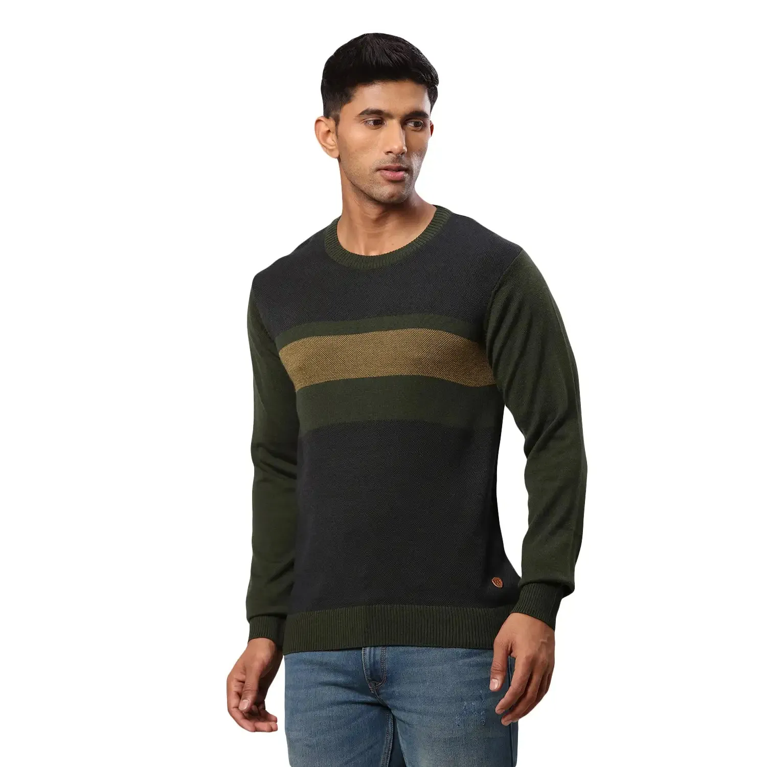 Men Green Jacquard Acrylic Wool Blend Round Collar Sweaters