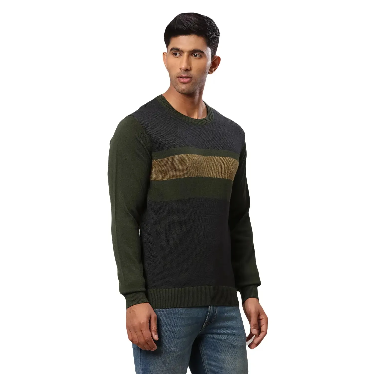 Men Green Jacquard Acrylic Wool Blend Round Collar Sweaters