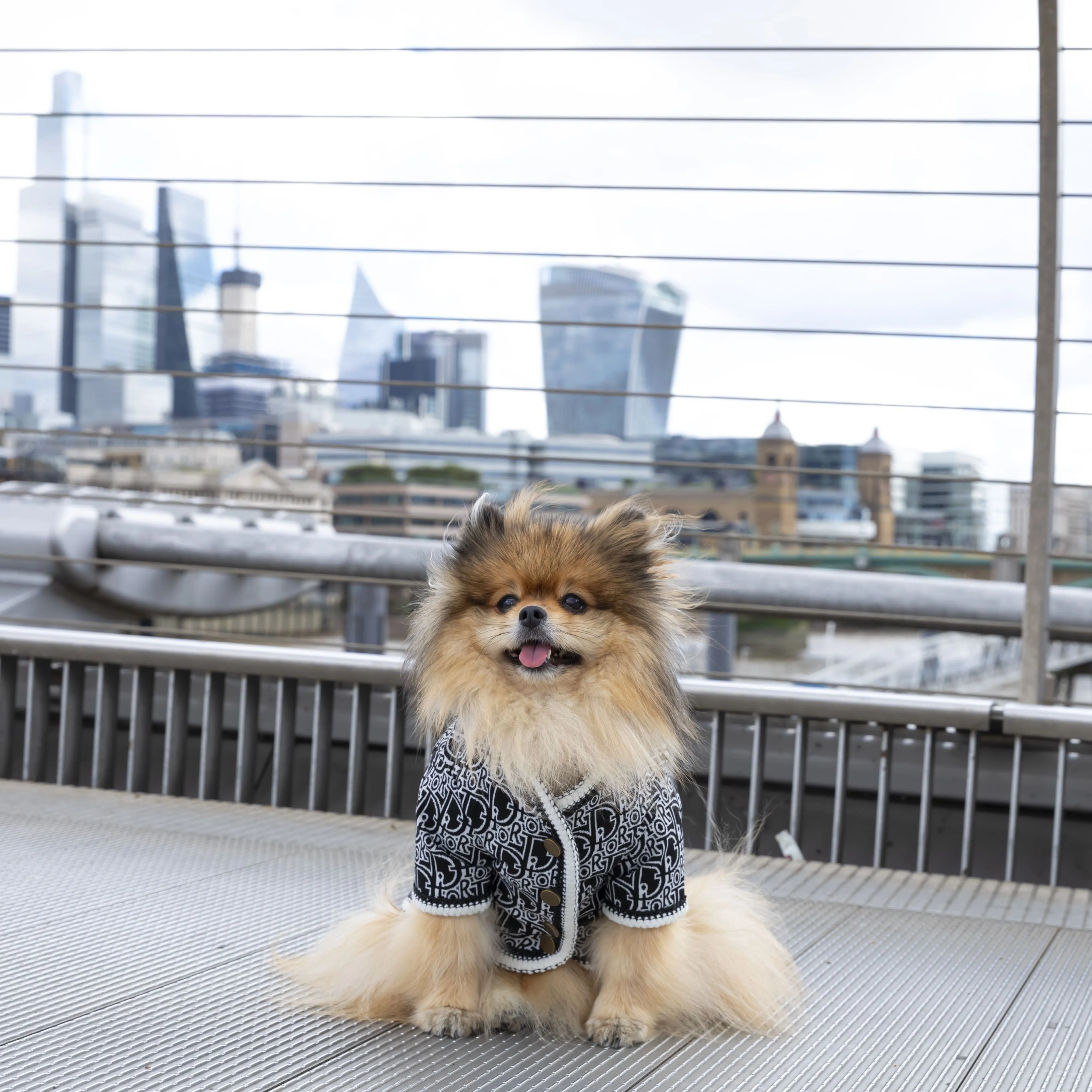 Style Me Up Designer Dog Sweater Cardigan